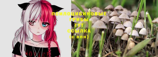 герыч Абаза